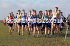 Boys under-15s Northern Cross Country  Championships, Pontefract. Photo: David T. Hewitson/Sports for All Pics